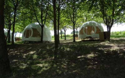 Un prodotto e una tecnologia rispettosi dell’ambiente