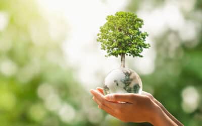 Ambiente e consumo di energia