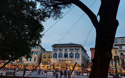 Messa in sicurezza cedro, Piazza Bra, Verona